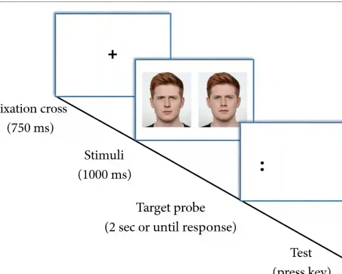 eyetracking segments psychology dot point
